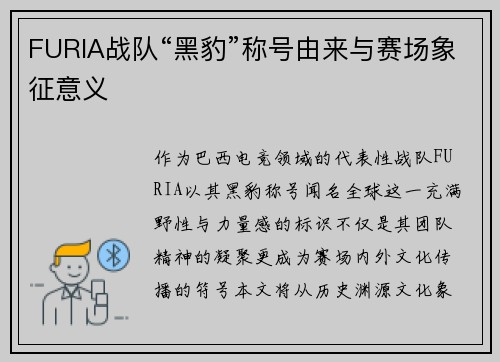 FURIA战队“黑豹”称号由来与赛场象征意义