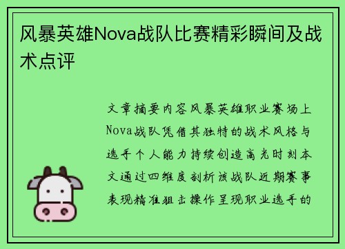 风暴英雄Nova战队比赛精彩瞬间及战术点评