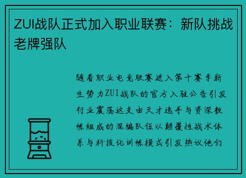 ZUI战队正式加入职业联赛：新队挑战老牌强队
